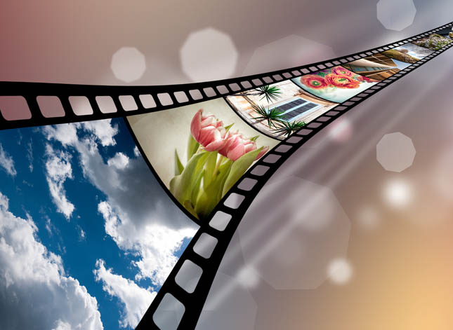 szkolenia filmy szkoleniowe szkolenia filmy szkoleniowe