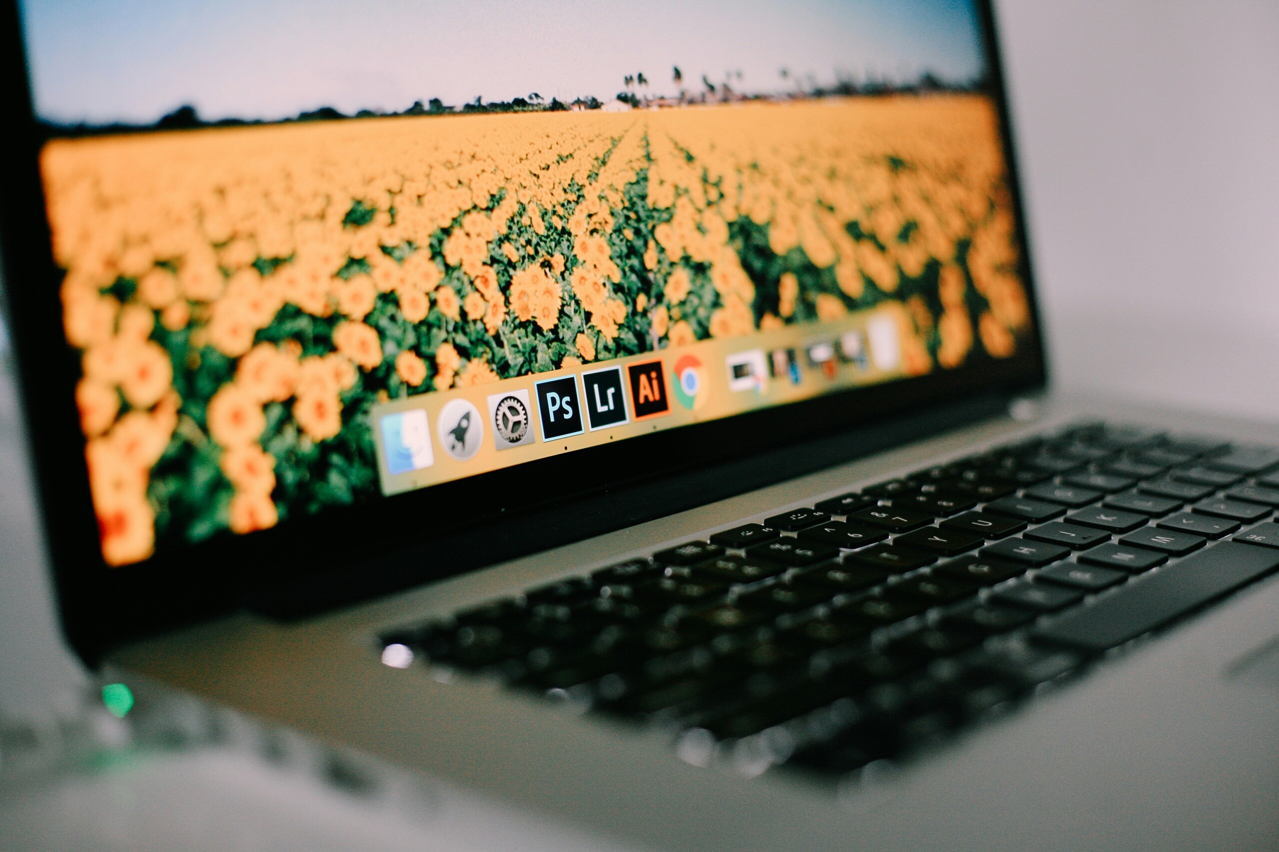 Adobe Photoshop kurs podstawowy